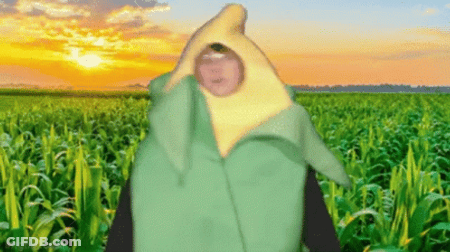 Cute Kid In Corn Suit Dancing GIF