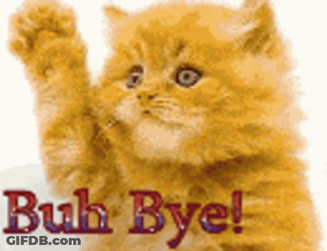 Cute Kitten Buh Bye Mobile Art GIF