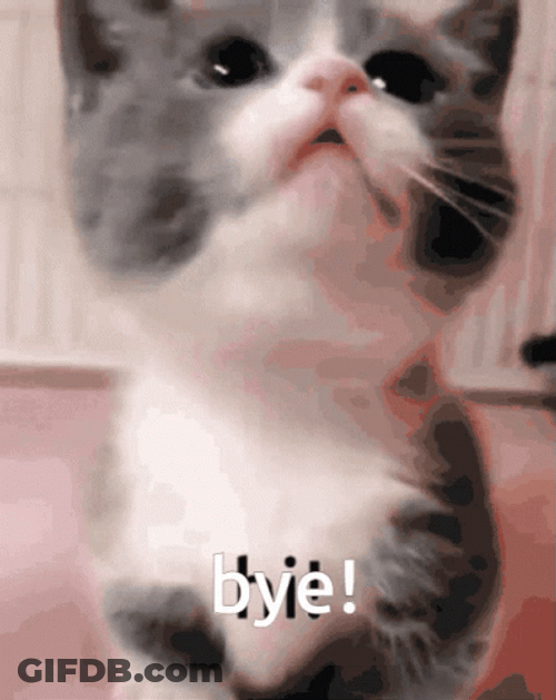 Cute Kitten Bye Bye GIF