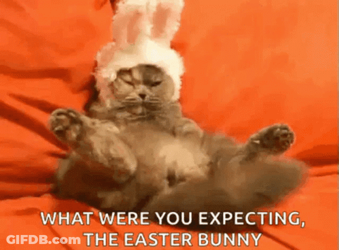 Cute Kitten Funny Easter Tail Wave GIF