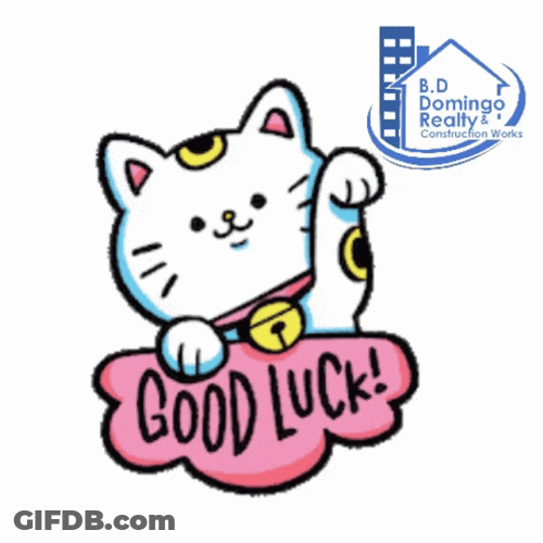 Cute Kitten Good Luck GIF