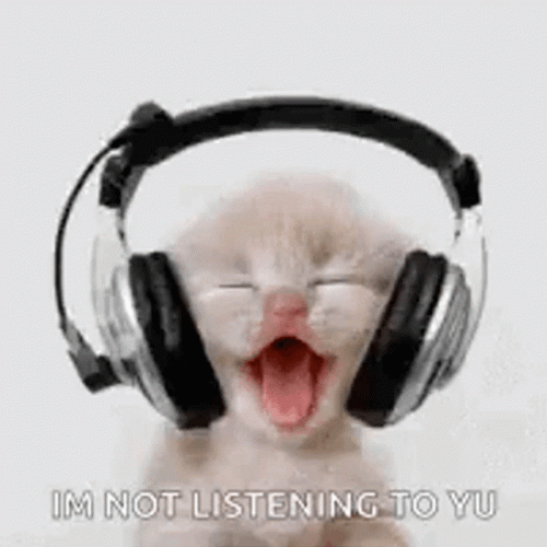 Cute Kitten Headphones Not Listening GIF