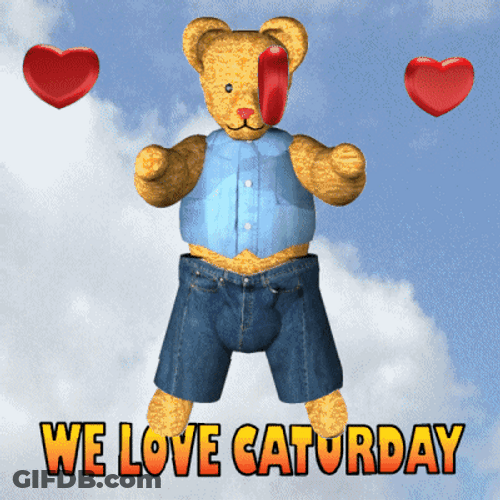 Cute Kitten In Bear Pocket Graphic Design GIF