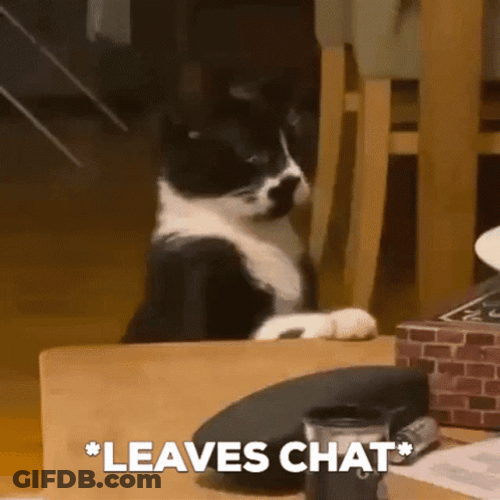 Cute Kitten Leaves Chat GIF