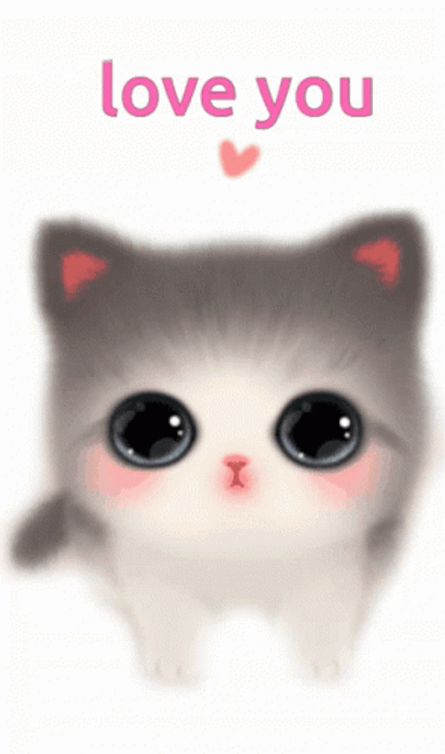 Cute Kitten Love You GIF