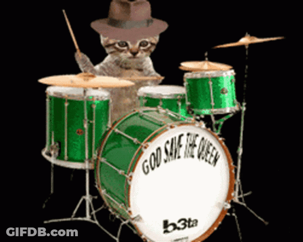 Cute Kitten Playing Drum GIF