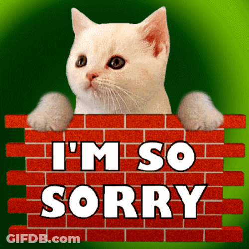 Cute Kitten Saying I'm So Sorry GIF
