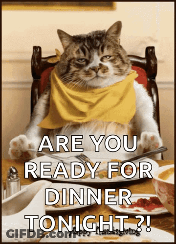 Cute Kitties GIF