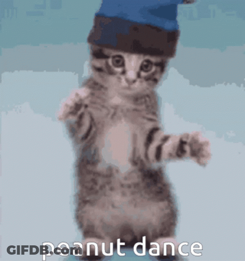 Cute Kitty Peanuts Dancing GIF