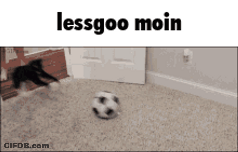Cute Kitty Playing Futbol GIF