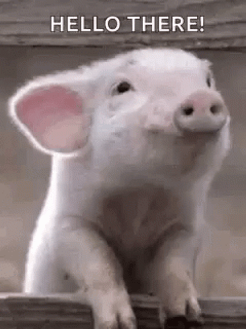 Cute Little Big Sniffing Hello There Meme GIF