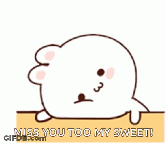 Cute Little Bunny Miss You Too My Sweet GIF