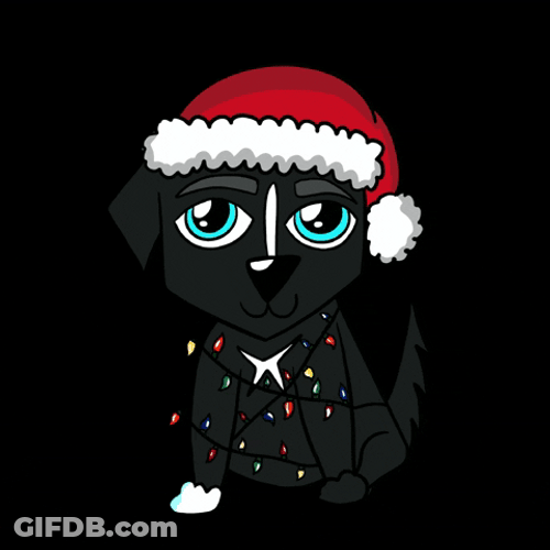 Cute Little Hat Christmas Dog GIF