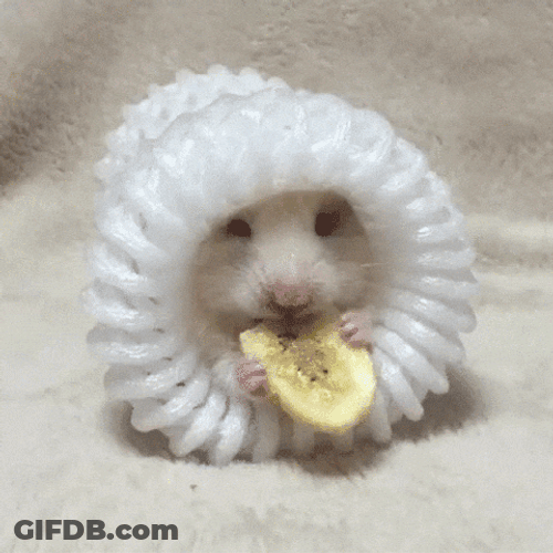 Cute Little Mouse Eating Chip GIF