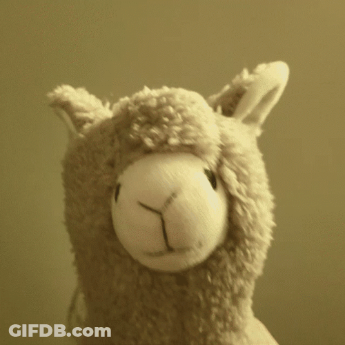 Cute Llama Partying GIF