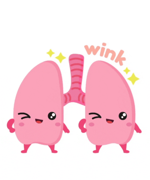Cute Lungs Cartoon Wink GIF