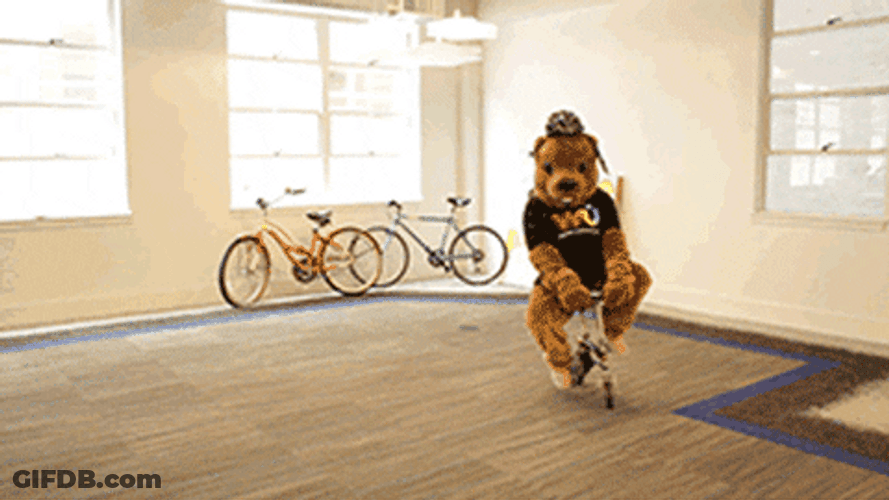 Cute Mascot Bear Riding Cycle GIF