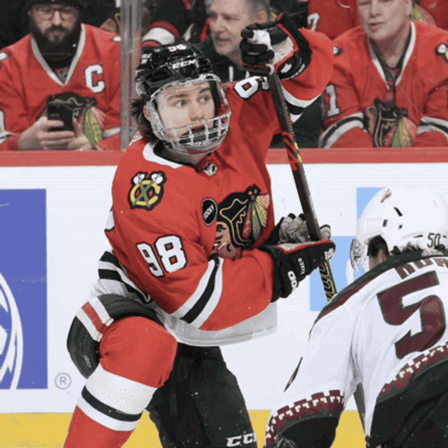 Cute Meme Connor Bedard GIF