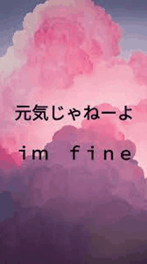 Cute Meme GIF