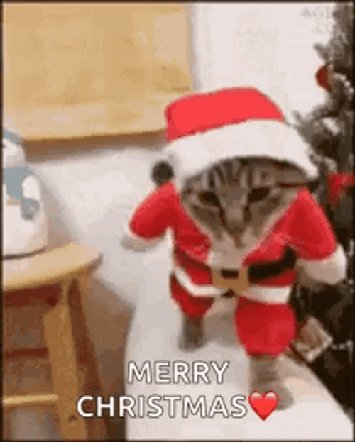 Cute Merry Christmas Wishes Cat Claus GIF