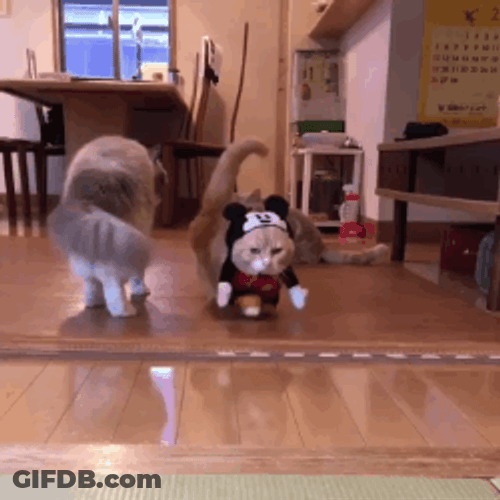 Cute Mickey Mouse Catwalk GIF