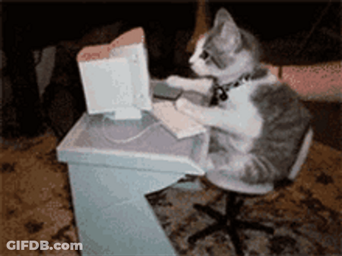 Cute Mini Typing Cat GIF