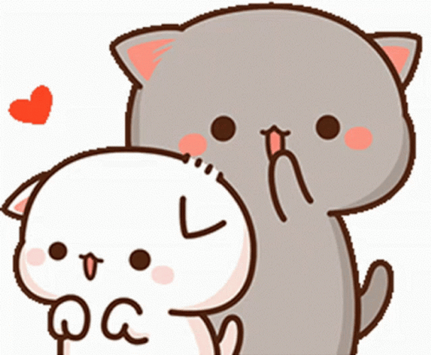 Cute Mochi Cat Grooming GIF