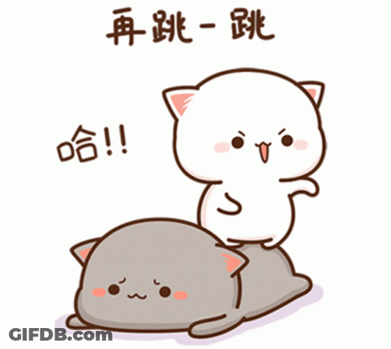 Cute Mochi Peach Cat Bounce GIF