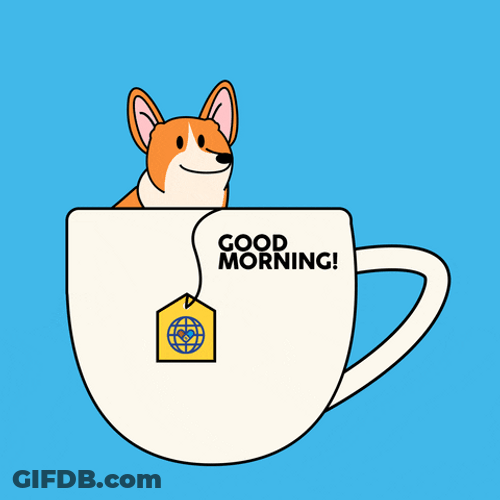 Cute Monday Corgi Cup GIF