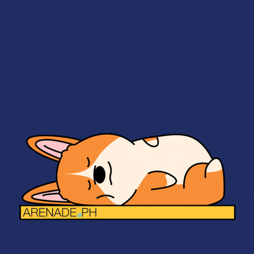Cute Monday Corgi Snores GIF