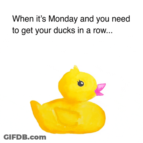 Cute Monday Duckie GIF