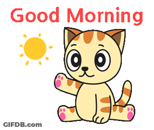 Cute Monday Kitty Sun GIF