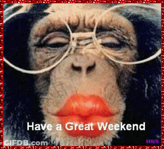 Cute Monkey Kissing With Pouty Lips GIF