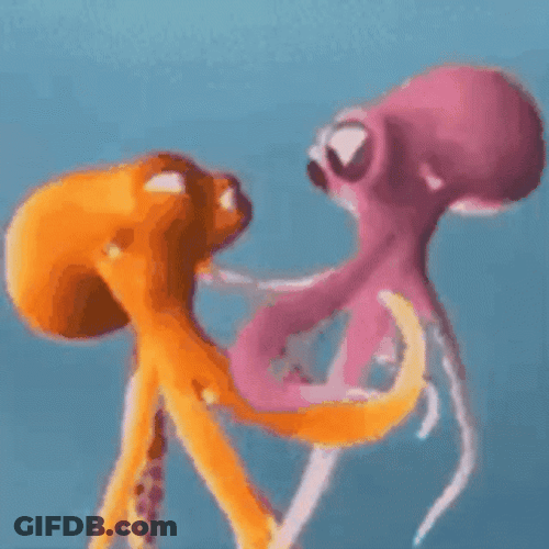 Cute Octopus Hugging Each Other GIF