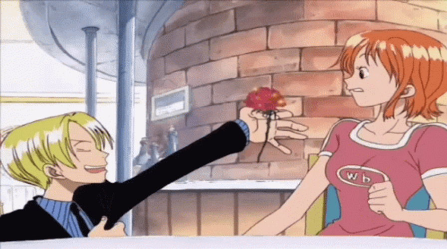 Cute One Piece Nami Sanji Rose GIF