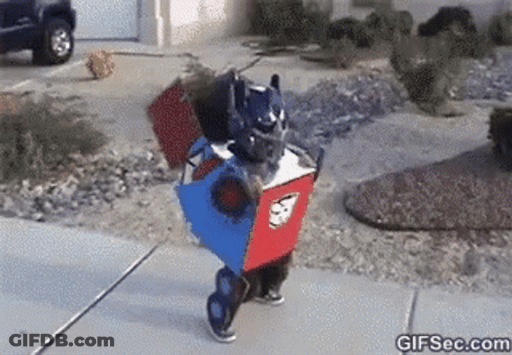 Cute Optimus Prime Real Transformers GIF