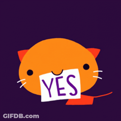 Cute Orange Cat Yes GIF