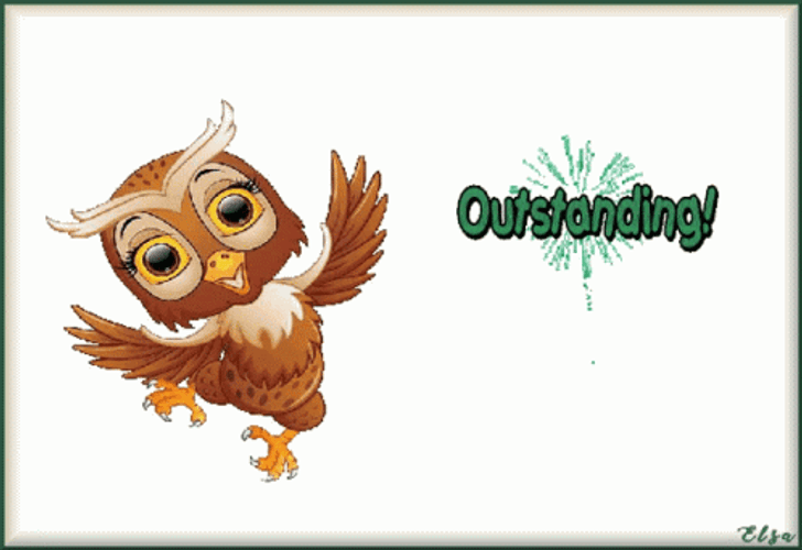 Cute Outstanding Of Owl GIF