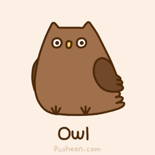 Cute Owl Drawing GIF