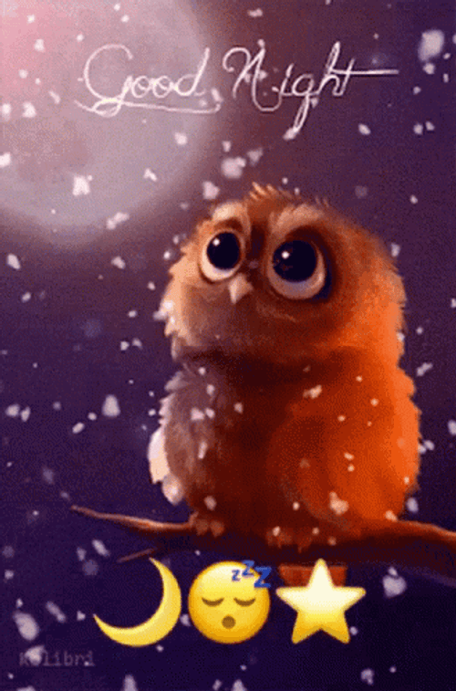 Cute Owl Good Night GIF