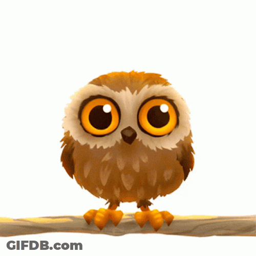 Cute Owl Have A Wonderful Day GIF