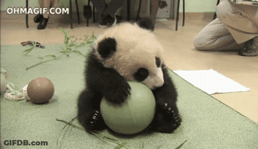Cute Panda My Precious Ball GIF