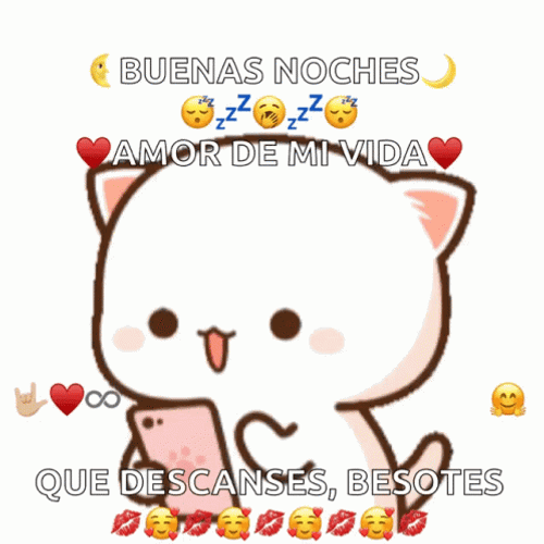 Cute Peach Cat Buenas Noches Amor Sticker GIF