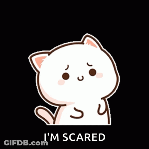 Cute Peach Ear Wiggling Scared Cat GIF