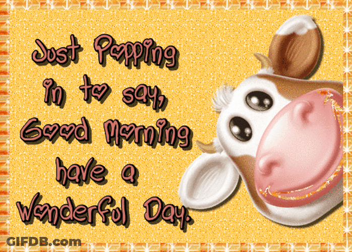 Cute Peeking Cow Good Morning Design GIF