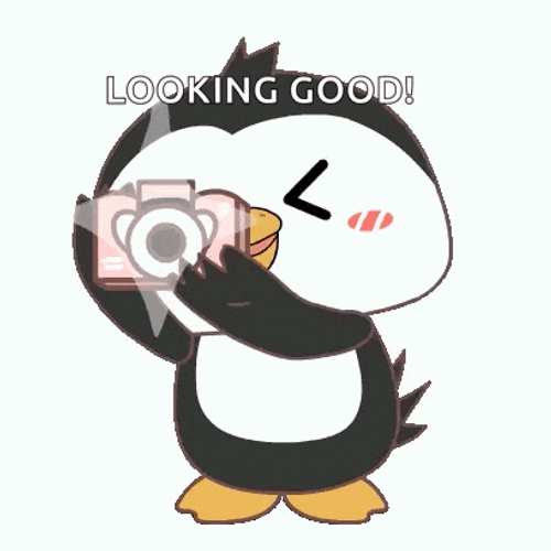 Cute Penguin GIF