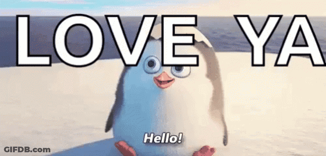 Cute Penguin Hello Love Ya GIF