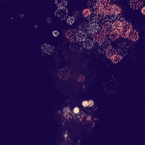 Cute Peony Fireworks GIF