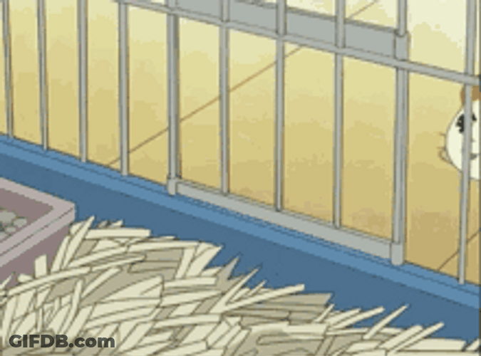 Cute Pet Anime Hamster Cage Hamtaro GIF
