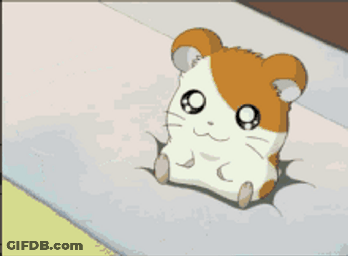 Cute Pet Hamster Hamtaro Reflection Glass GIF